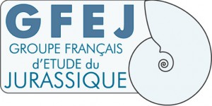 logo GFEJ